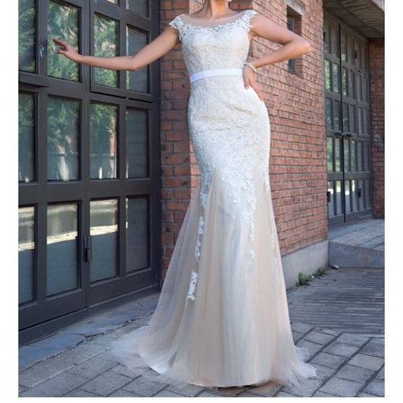 Tulle and Lace Wedding Gown - Picture 6 of 6